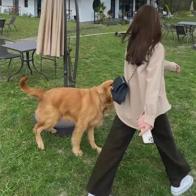 毕业的我们